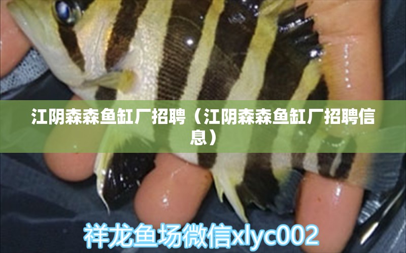 江陰森森魚缸廠招聘（江陰森森魚缸廠招聘信息）