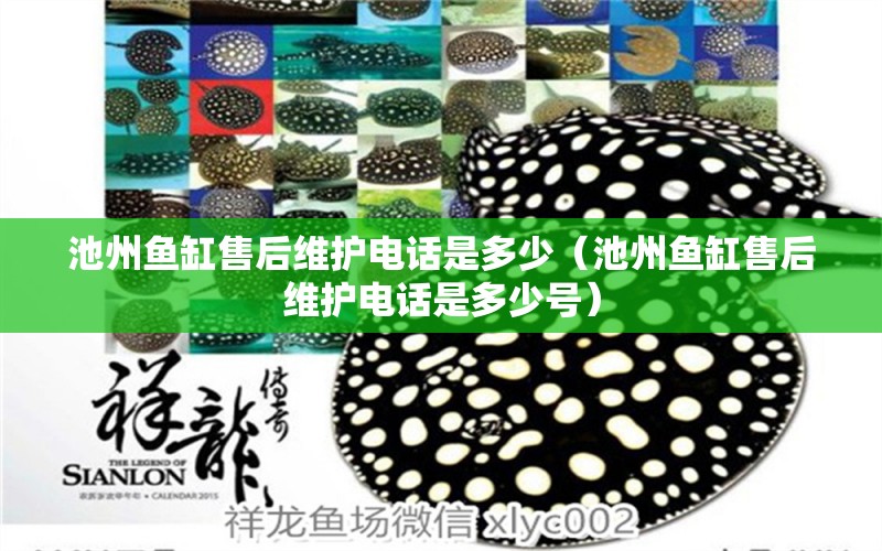 池州魚缸售后維護(hù)電話是多少（池州魚缸售后維護(hù)電話是多少號(hào)） 其他品牌魚缸