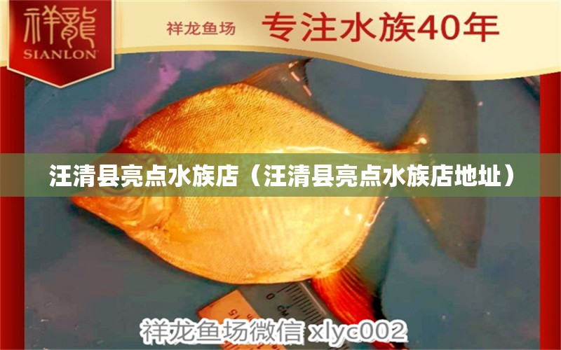 汪清縣亮點水族店（汪清縣亮點水族店地址）