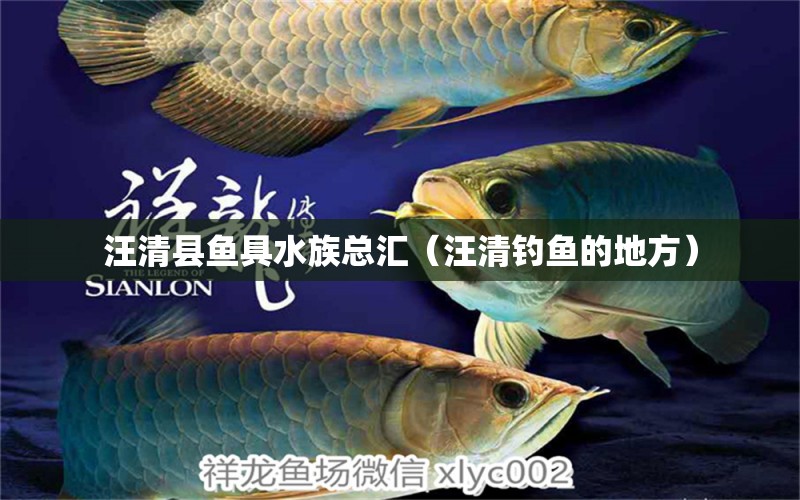 汪清縣魚(yú)具水族總匯（汪清釣魚(yú)的地方）