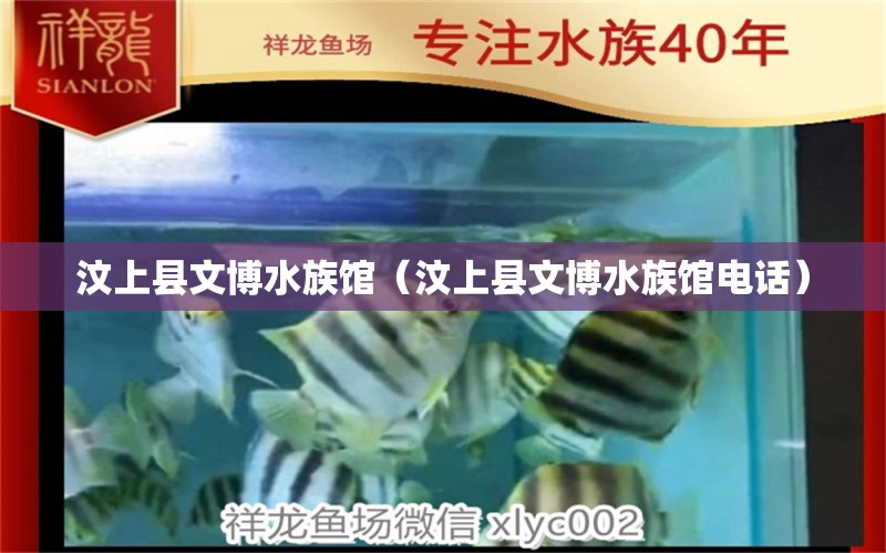 汶上縣文博水族館（汶上縣文博水族館電話） 全國水族館企業(yè)名錄