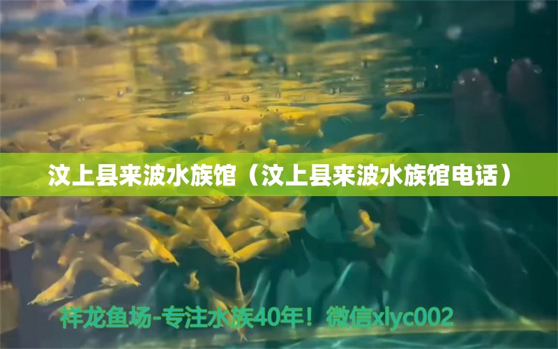 汶上縣來波水族館（汶上縣來波水族館電話） 全國水族館企業(yè)名錄