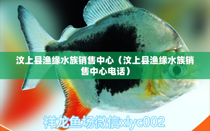 汶上縣漁緣水族銷售中心（汶上縣漁緣水族銷售中心電話） 全國水族館企業(yè)名錄