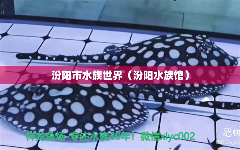 汾陽市水族世界（汾陽水族館）