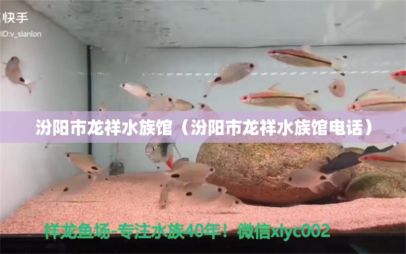 汾陽市龍祥水族館（汾陽市龍祥水族館電話）