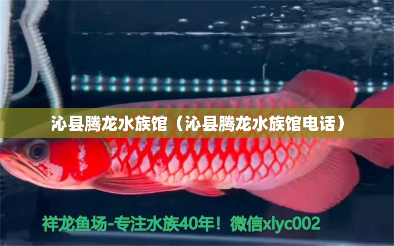 沁縣騰龍水族館（沁縣騰龍水族館電話） 全國水族館企業(yè)名錄