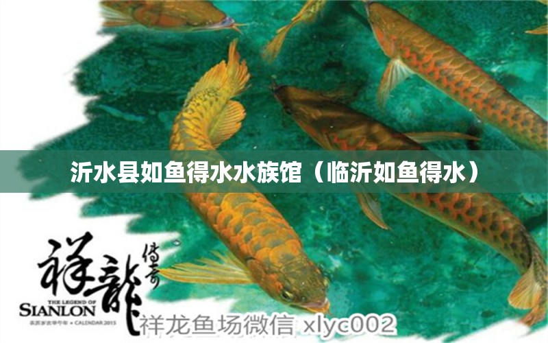 沂水縣如魚(yú)得水水族館（臨沂如魚(yú)得水） 全國(guó)水族館企業(yè)名錄