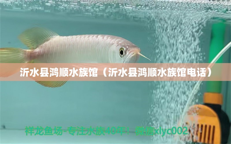 沂水縣鴻順?biāo)屦^（沂水縣鴻順?biāo)屦^電話） 全國(guó)水族館企業(yè)名錄