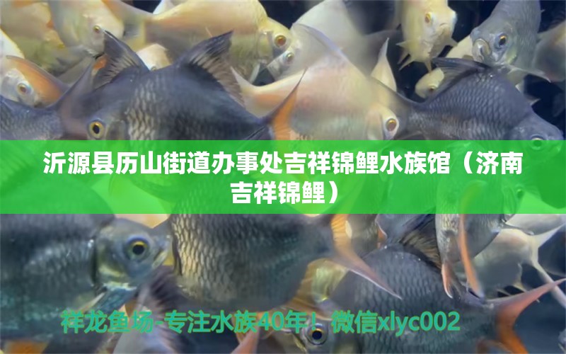 沂源縣歷山街道辦事處吉祥錦鯉水族館（濟(jì)南吉祥錦鯉）