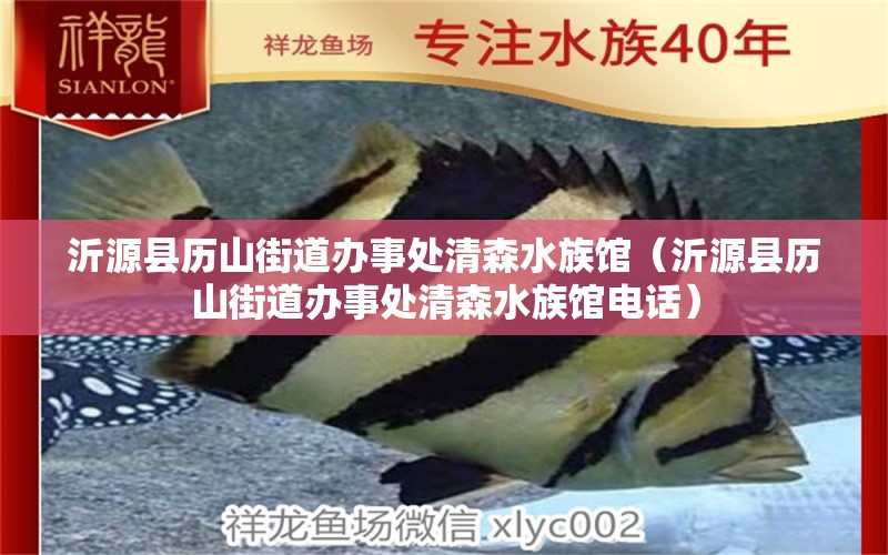 沂源縣歷山街道辦事處清森水族館（沂源縣歷山街道辦事處清森水族館電話）