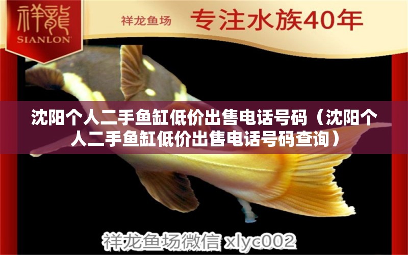 沈陽(yáng)個(gè)人二手魚(yú)缸低價(jià)出售電話號(hào)碼（沈陽(yáng)個(gè)人二手魚(yú)缸低價(jià)出售電話號(hào)碼查詢(xún)） 銀龍魚(yú)苗