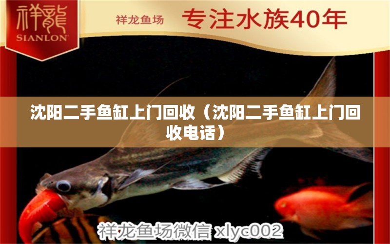 沈陽二手魚缸上門回收（沈陽二手魚缸上門回收電話）