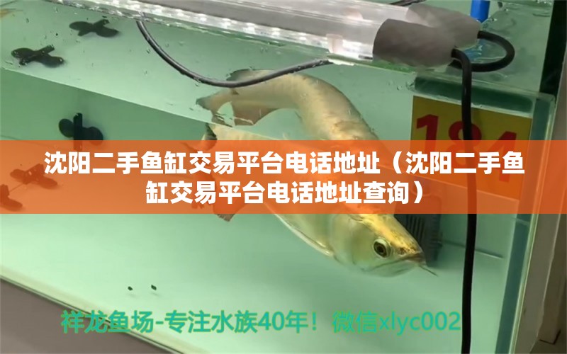 沈陽二手魚缸交易平臺電話地址（沈陽二手魚缸交易平臺電話地址查詢）