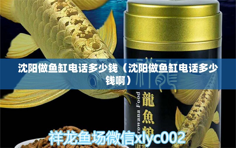 沈陽做魚缸電話多少錢（沈陽做魚缸電話多少錢啊）