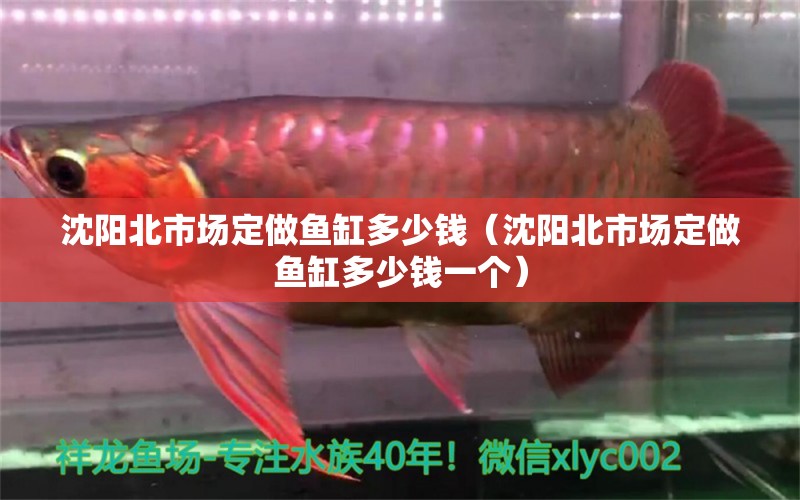 沈陽(yáng)北市場(chǎng)定做魚(yú)缸多少錢(qián)（沈陽(yáng)北市場(chǎng)定做魚(yú)缸多少錢(qián)一個(gè)）