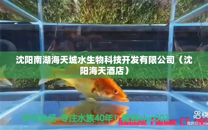 沈陽南湖海天城水生物科技開發(fā)有限公司（沈陽海天酒店） 全國水族館企業(yè)名錄