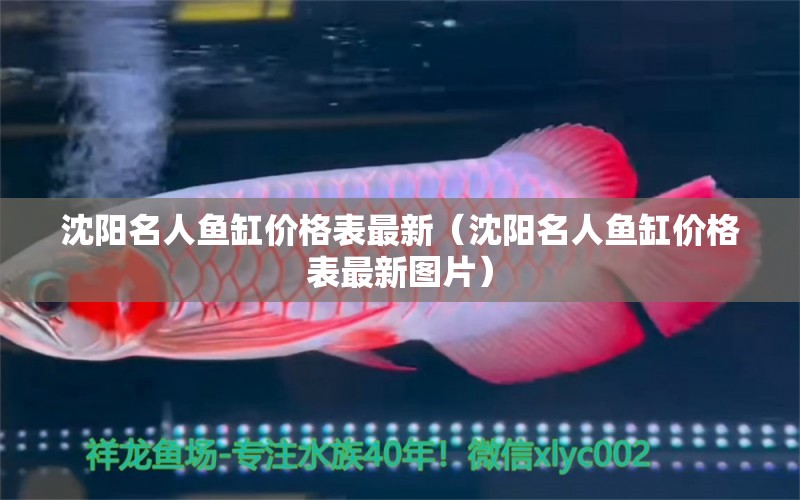 沈陽(yáng)名人魚缸價(jià)格表最新（沈陽(yáng)名人魚缸價(jià)格表最新圖片）