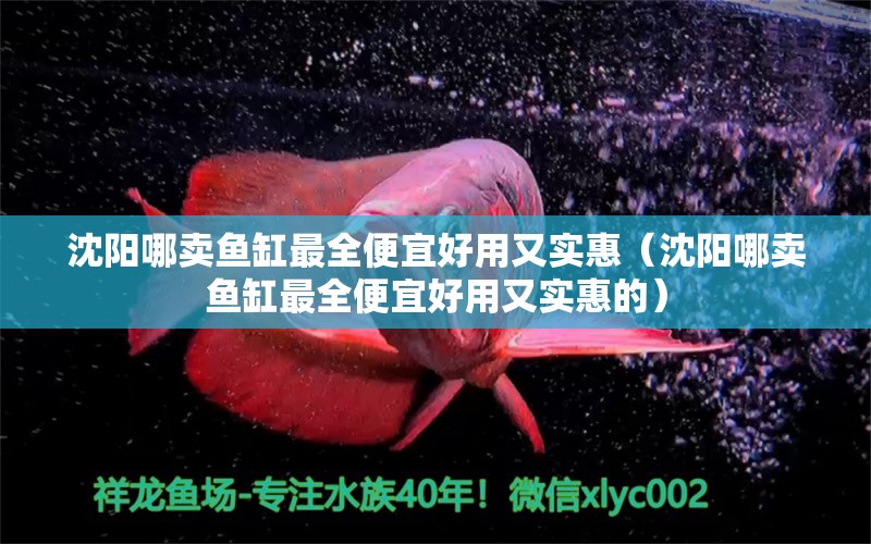 沈陽哪賣魚缸最全便宜好用又實(shí)惠（沈陽哪賣魚缸最全便宜好用又實(shí)惠的）