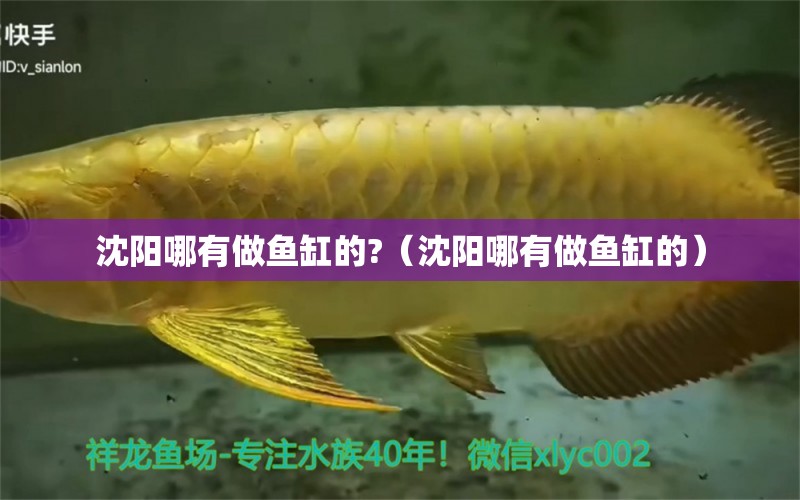 沈陽哪有做魚缸的?（沈陽哪有做魚缸的）