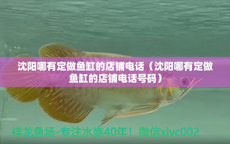 沈陽(yáng)哪有定做魚缸的店鋪電話（沈陽(yáng)哪有定做魚缸的店鋪電話號(hào)碼）