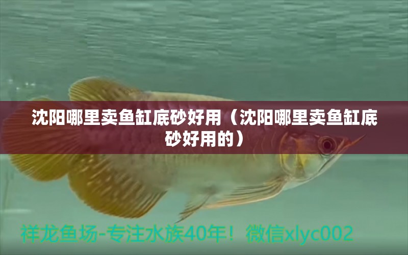 沈陽哪里賣魚缸底砂好用（沈陽哪里賣魚缸底砂好用的）