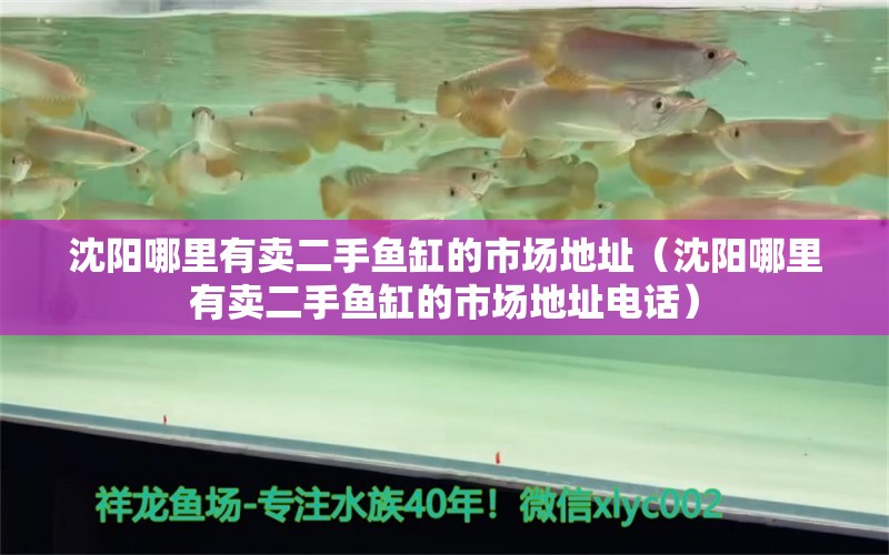 沈陽(yáng)哪里有賣二手魚缸的市場(chǎng)地址（沈陽(yáng)哪里有賣二手魚缸的市場(chǎng)地址電話）