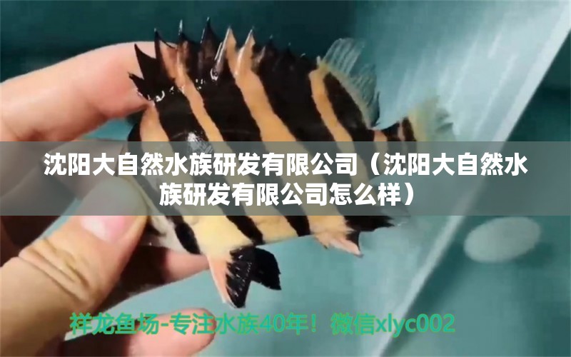 沈陽(yáng)大自然水族研發(fā)有限公司（沈陽(yáng)大自然水族研發(fā)有限公司怎么樣） 全國(guó)水族館企業(yè)名錄