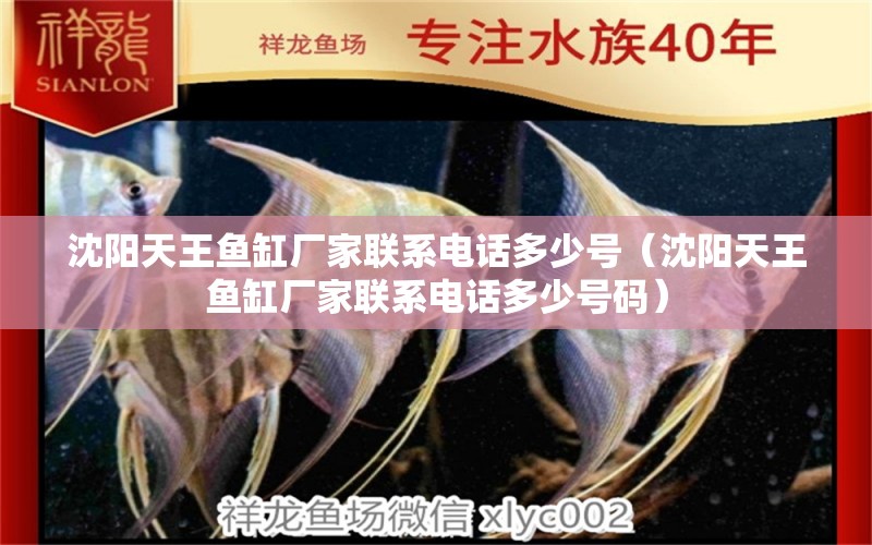 沈陽天王魚缸廠家聯(lián)系電話多少號（沈陽天王魚缸廠家聯(lián)系電話多少號碼）