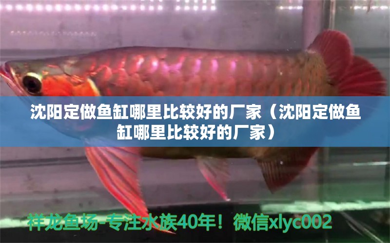 沈陽定做魚缸哪里比較好的廠家（沈陽定做魚缸哪里比較好的廠家）