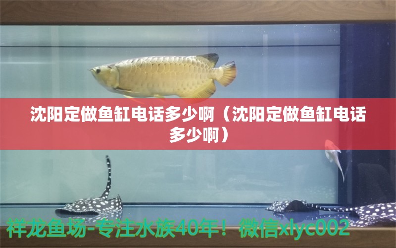 沈陽定做魚缸電話多少?。ㄉ蜿柖ㄗ鲷~缸電話多少啊）