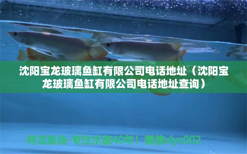 沈陽(yáng)寶龍玻璃魚(yú)缸有限公司電話地址（沈陽(yáng)寶龍玻璃魚(yú)缸有限公司電話地址查詢） 祥龍水族醫(yī)院