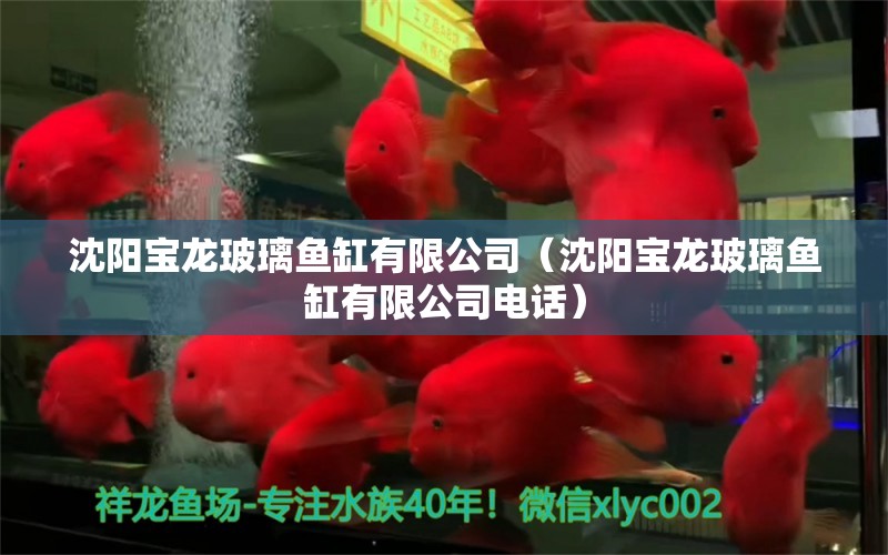 沈陽寶龍玻璃魚缸有限公司（沈陽寶龍玻璃魚缸有限公司電話）