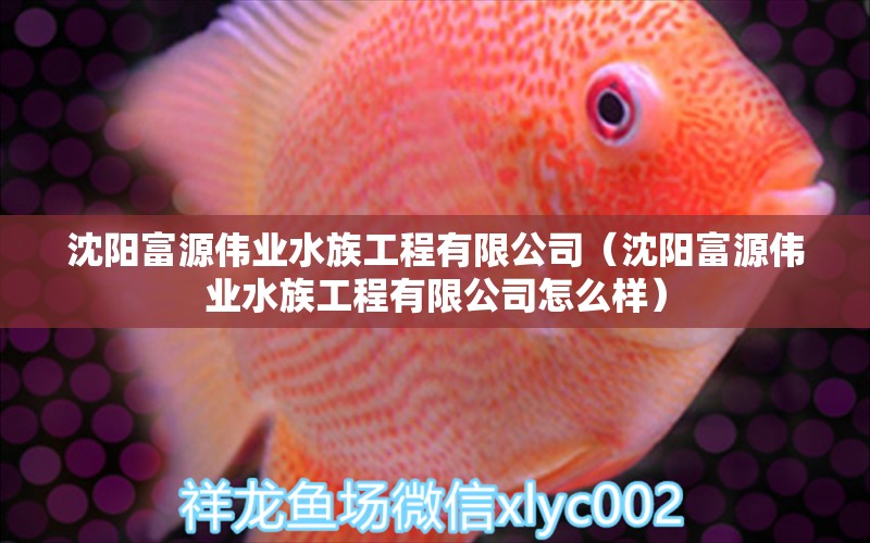 沈陽富源偉業(yè)水族工程有限公司（沈陽富源偉業(yè)水族工程有限公司怎么樣）