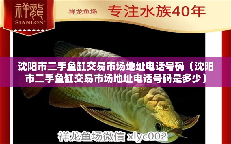 沈陽市二手魚缸交易市場地址電話號(hào)碼（沈陽市二手魚缸交易市場地址電話號(hào)碼是多少）