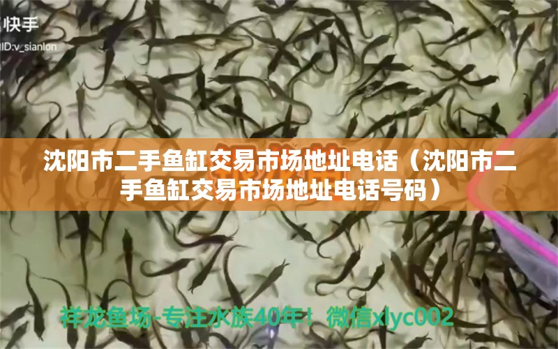 沈陽市二手魚缸交易市場地址電話（沈陽市二手魚缸交易市場地址電話號碼） 星點(diǎn)金龍魚