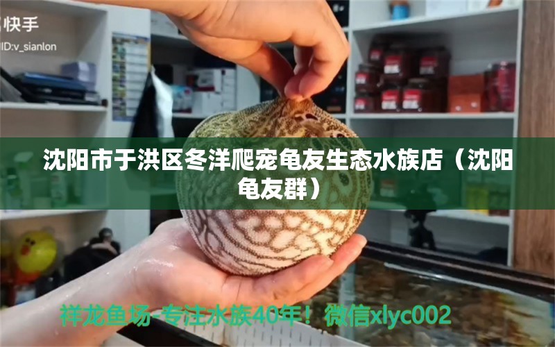 沈陽市于洪區(qū)冬洋爬寵龜友生態(tài)水族店（沈陽龜友群）