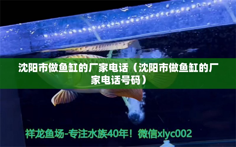 沈陽(yáng)市做魚缸的廠家電話（沈陽(yáng)市做魚缸的廠家電話號(hào)碼） 其他品牌魚缸