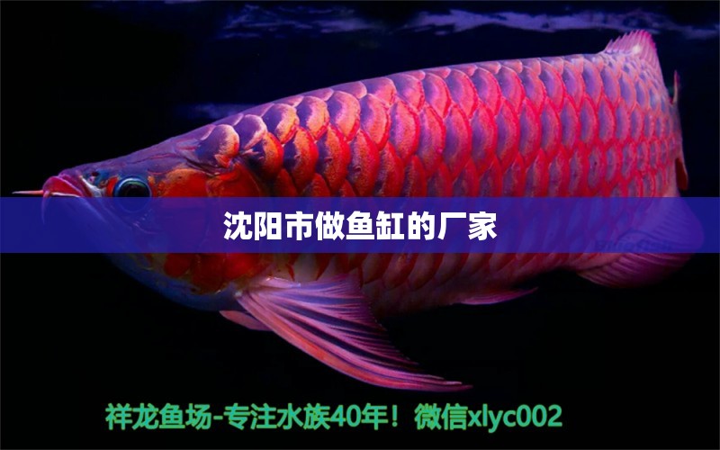 沈陽(yáng)市做魚缸的廠家 其他品牌魚缸