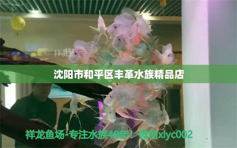 沈陽市和平區(qū)豐革水族精品店 全國水族館企業(yè)名錄