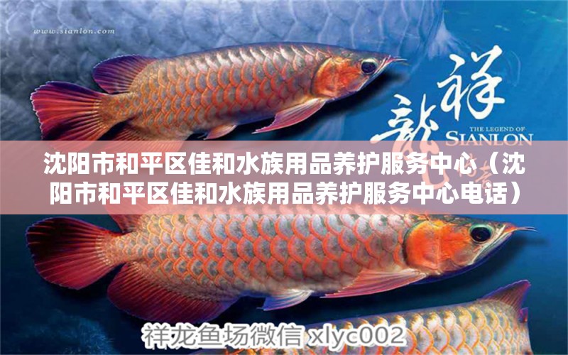 沈陽市和平區(qū)佳和水族用品養(yǎng)護(hù)服務(wù)中心（沈陽市和平區(qū)佳和水族用品養(yǎng)護(hù)服務(wù)中心電話） 水族用品