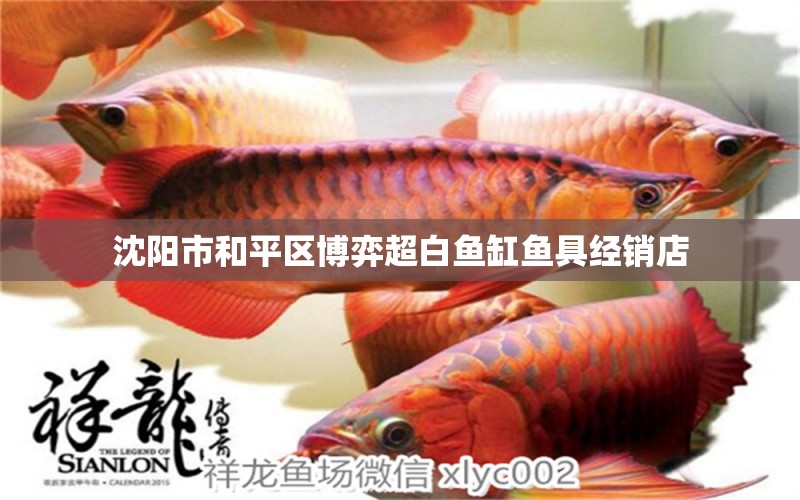 沈陽(yáng)市和平區(qū)博弈超白魚(yú)缸魚(yú)具經(jīng)銷(xiāo)店 全國(guó)水族館企業(yè)名錄