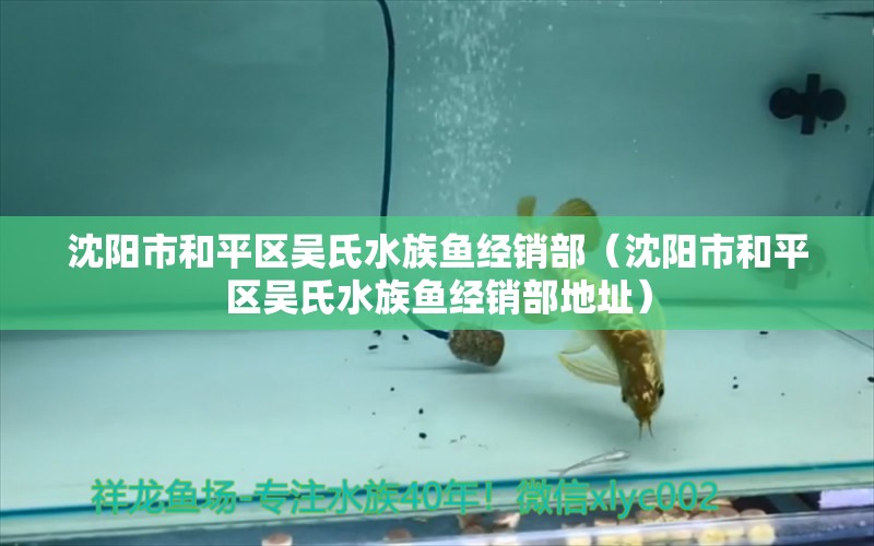 沈陽(yáng)市和平區(qū)吳氏水族魚(yú)經(jīng)銷(xiāo)部（沈陽(yáng)市和平區(qū)吳氏水族魚(yú)經(jīng)銷(xiāo)部地址）