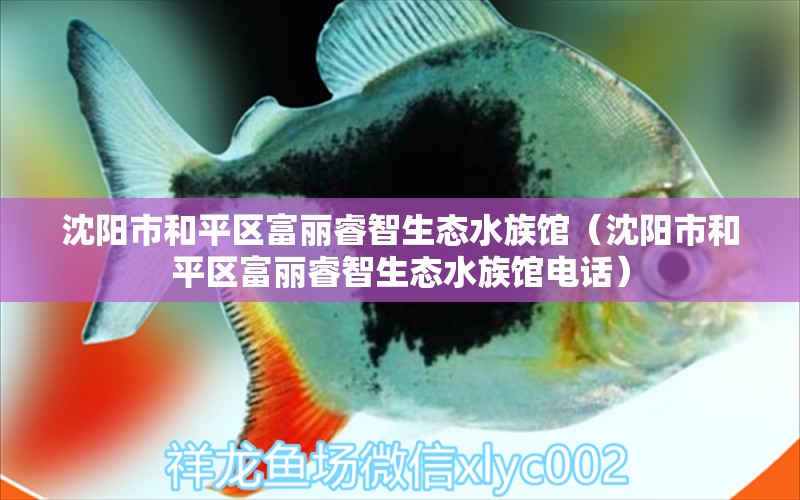 沈陽市和平區(qū)富麗睿智生態(tài)水族館（沈陽市和平區(qū)富麗睿智生態(tài)水族館電話） 全國水族館企業(yè)名錄