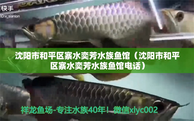 沈陽(yáng)市和平區(qū)寨水奕芳水族魚(yú)館（沈陽(yáng)市和平區(qū)寨水奕芳水族魚(yú)館電話(huà)）