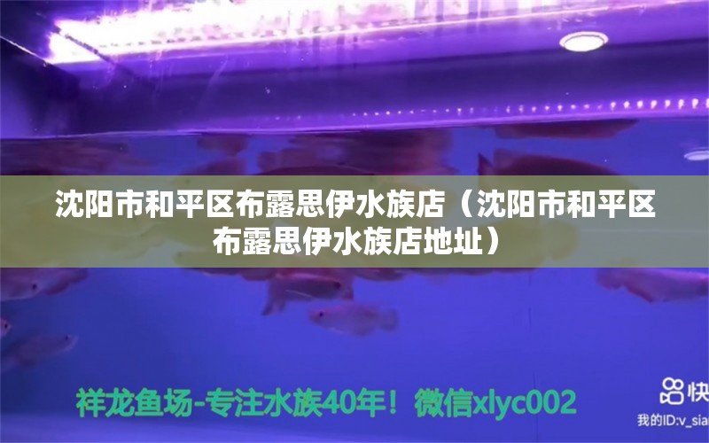 沈陽市和平區(qū)布露思伊水族店（沈陽市和平區(qū)布露思伊水族店地址）