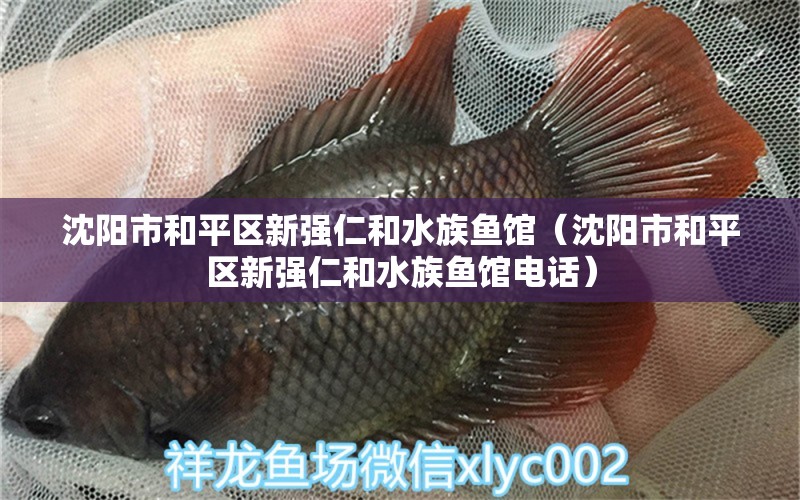 沈陽(yáng)市和平區(qū)新強(qiáng)仁和水族魚館（沈陽(yáng)市和平區(qū)新強(qiáng)仁和水族魚館電話）