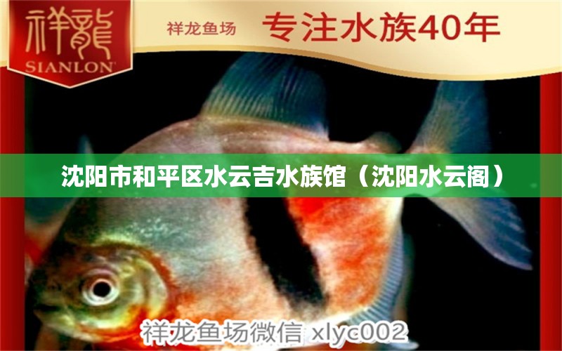 沈陽(yáng)市和平區(qū)水云吉水族館（沈陽(yáng)水云閣）