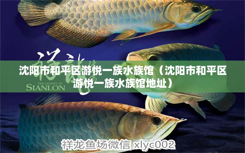 沈陽市和平區(qū)游悅一族水族館（沈陽市和平區(qū)游悅一族水族館地址）