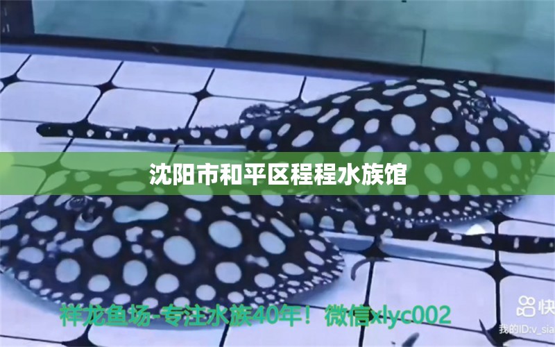 沈陽(yáng)市和平區(qū)程程水族館