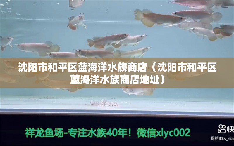 沈陽市和平區(qū)藍(lán)海洋水族商店（沈陽市和平區(qū)藍(lán)海洋水族商店地址）